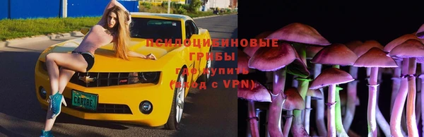 а пвп мука Вяземский