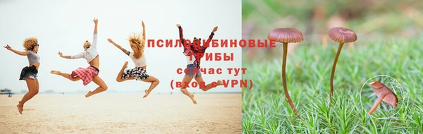 ешки Вязники