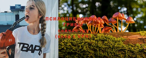 ешки Вязники